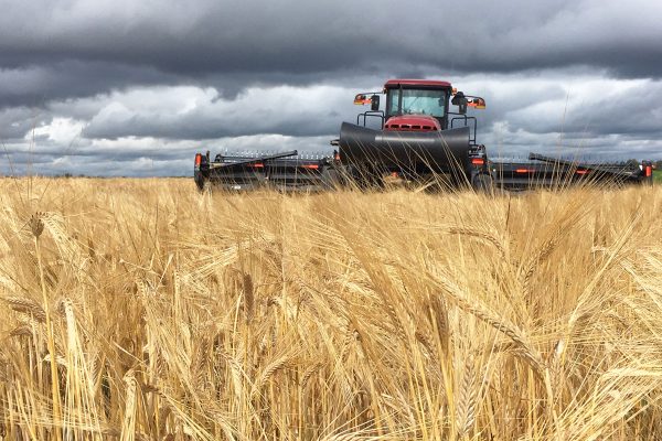 barley harvester with ominous sky